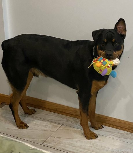 estherlynnriefree erotic star pictures