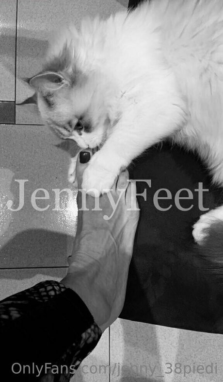 jenny 38piedi star porn image