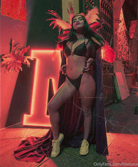 libeluna free model archive