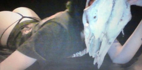 Fleshf1y star hot image