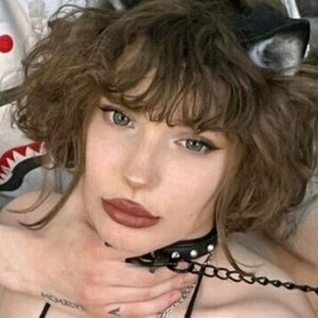 jakegelato top pornstar img