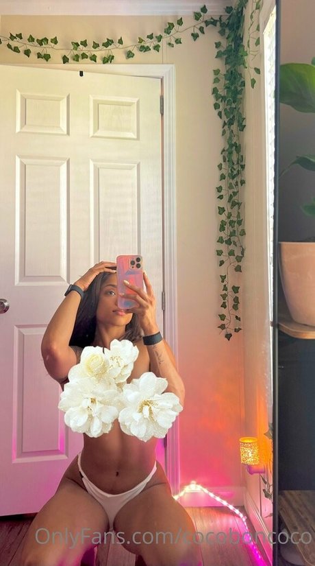 cocofreda porn actress picture