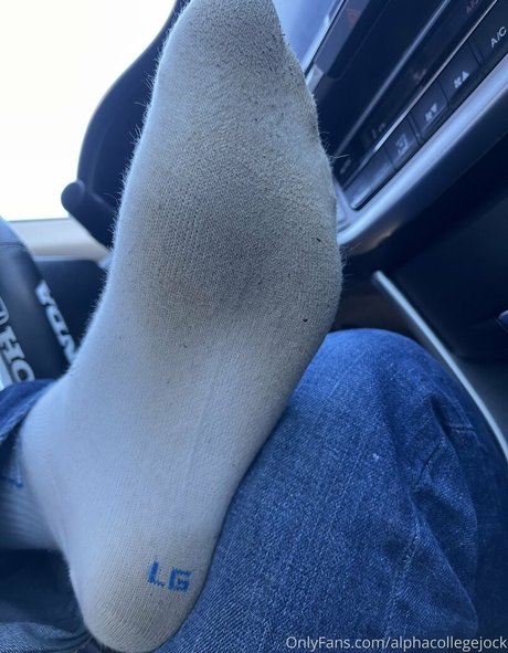 alphacollegejock best pornstar gallery