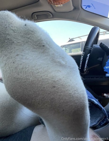 alphacollegejock erotic pornstar images