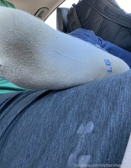 alphacollegejock free actress photos