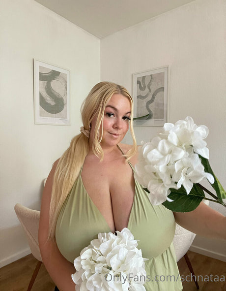 Schnataa exclusive star galleries