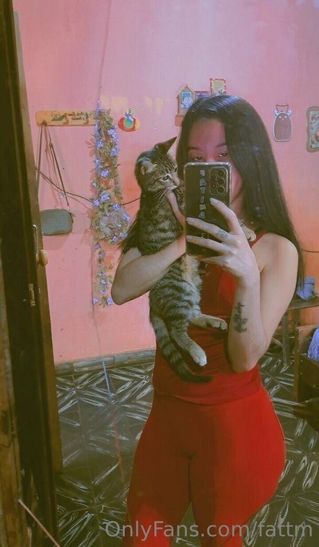 fattm star art gallery