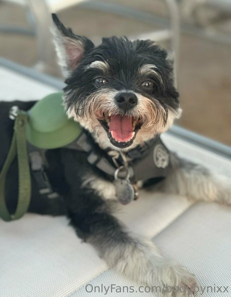 bodybynixx pornstar free galleries