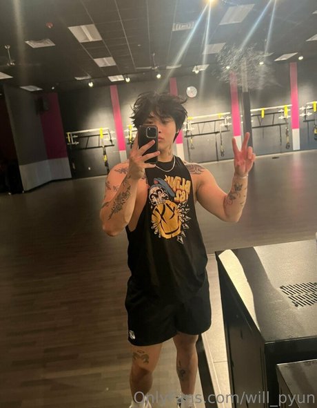 will pyun high quality model picture