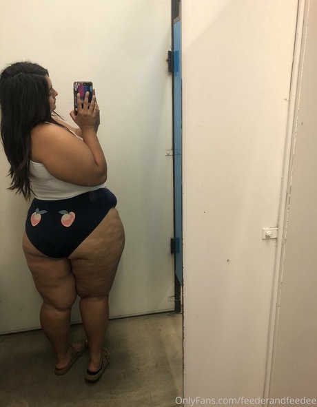 feederandfeedee high quality star gallery