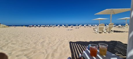 Muscle Boy nice star pictures