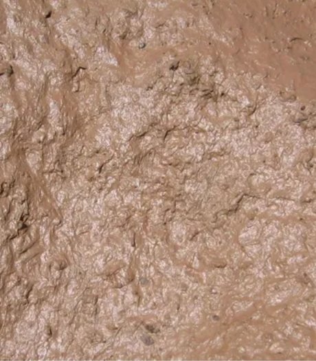 Muddy Jones pornstar exclusive image