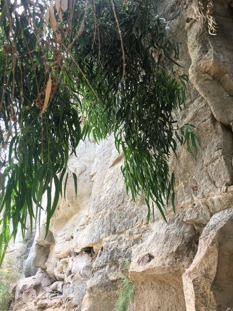 Eri_ model pornographic pic