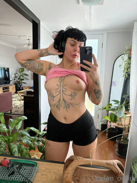 _DYLAN 4 FREE_ star perfect gallery