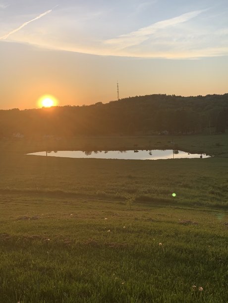 GracieBabie pretty actress archive