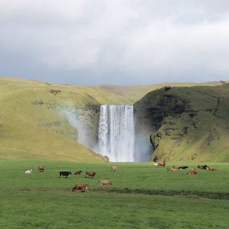 MsThing13 pornstar nudes galleries