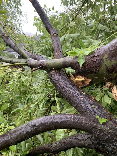 u3653168 pornstar adult photos