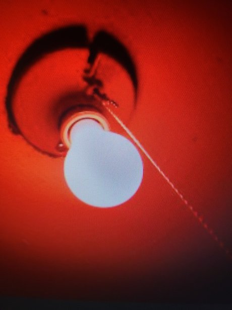 My Red Light District model high quality pics