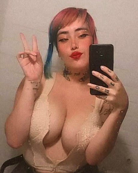 Gomory hot model archive