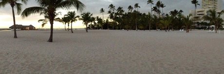 Freddy Pinto_ adult model images