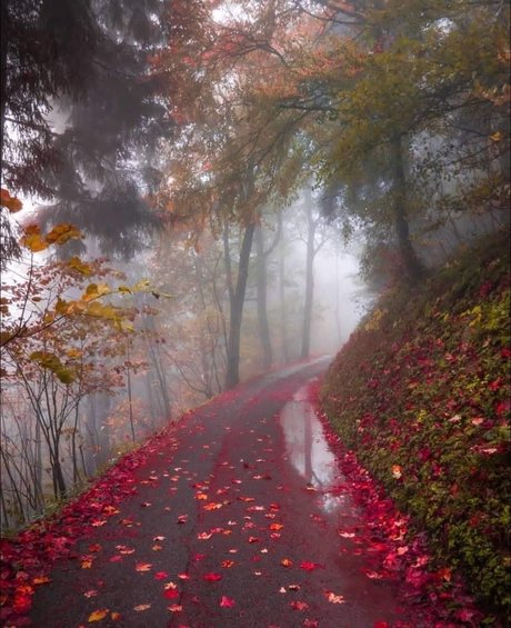 Aconite pornstar sex gallery