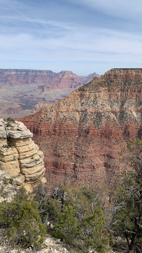 Colin Newman sex actress photos