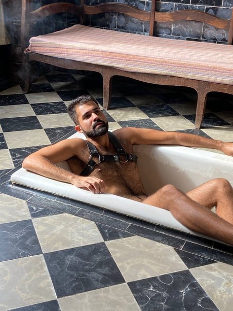 Furry Horny star sex archive