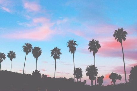 Emma Sunflower pornstar high quality images