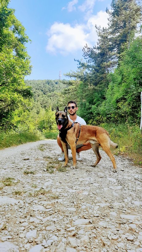 GB Dog Trainer model high quality gallery