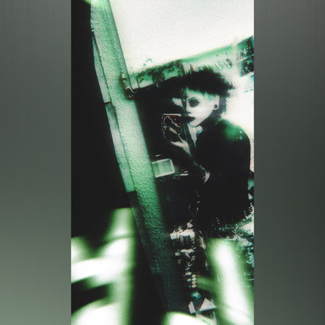 ace sex pornstar gallery