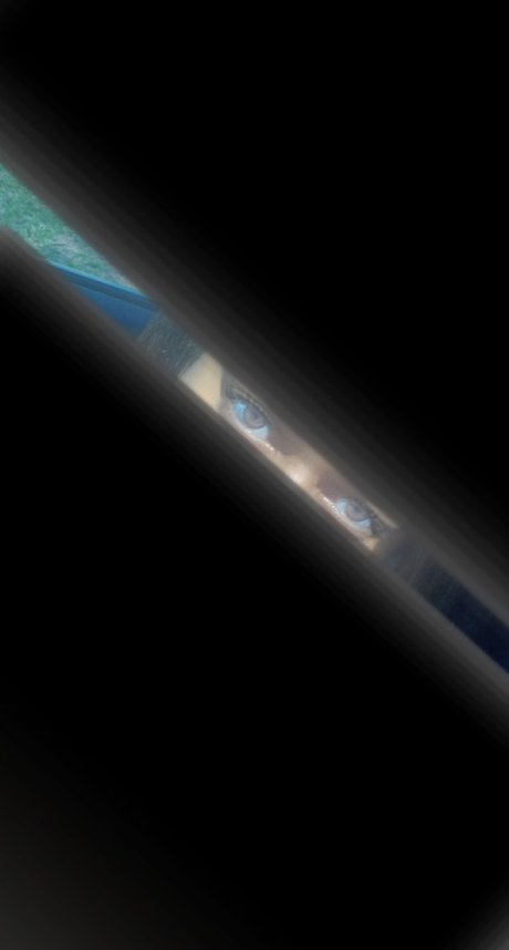 Zayden xxx actress gallery