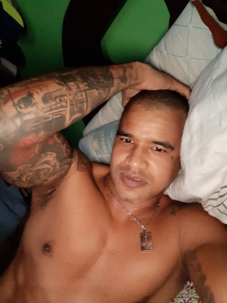 _scar vive sex actress galleries