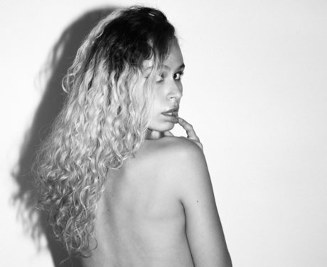 Silene high quality star pic