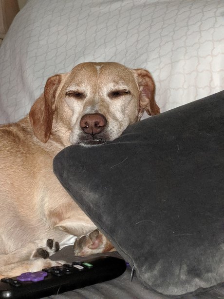 Fan Cave perfect star pictures