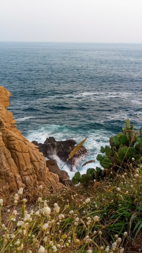 Fate sex actress photo