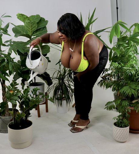 Da Plump porn star img