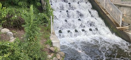 B The Fairy_ nice star img