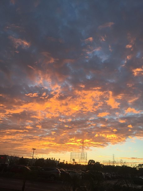 Stef_ star nude gallery