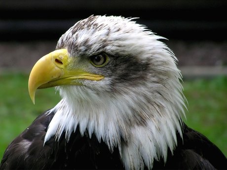 Tiffani_ pornstar perfect pictures