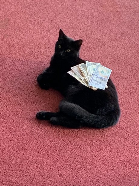 CurvyDream high quality actress photo