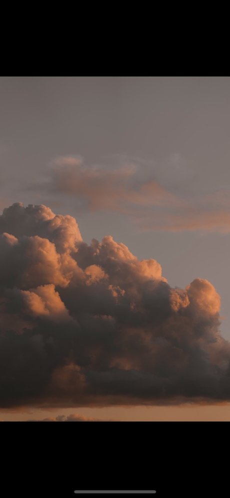 Christian Reese star porn galleries