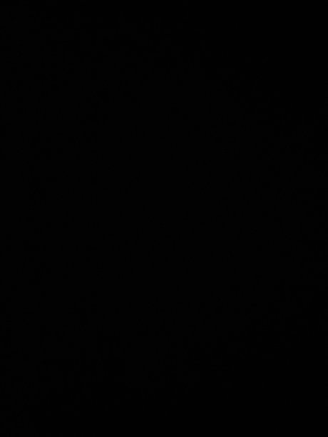 Nasty dutch hd model gallery