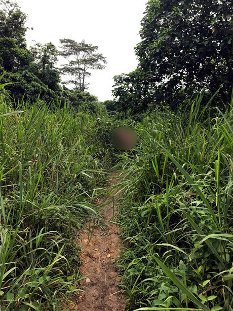 Dashy exclusive model photos