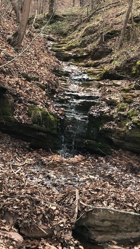 Z0R0D0M naked pornstar archive