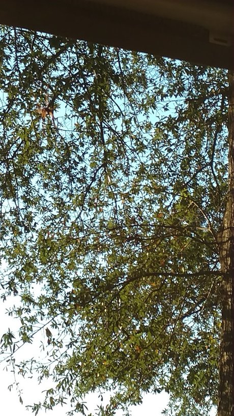 nanabyo model sexy picture