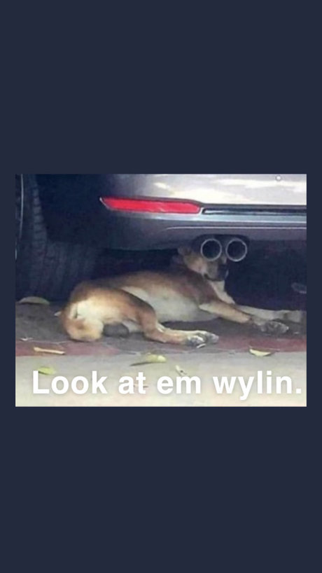 dacasablanca pornstar naked archive