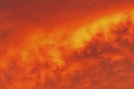 naturalnaturegrl model best photos