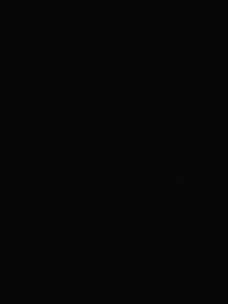 Donovan Riser star xxx archive