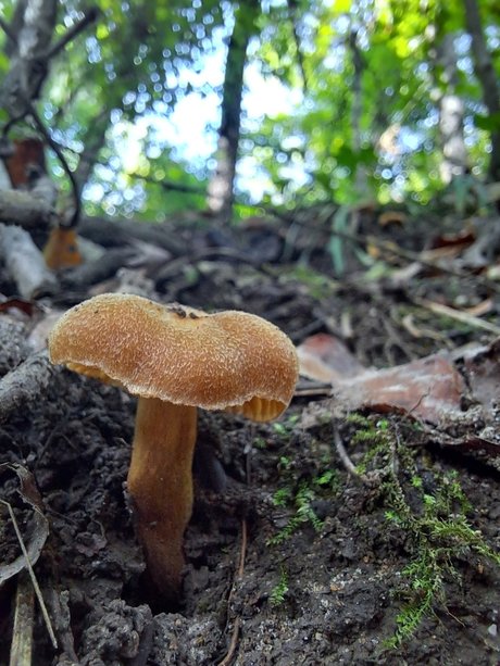 natnats nice star photos