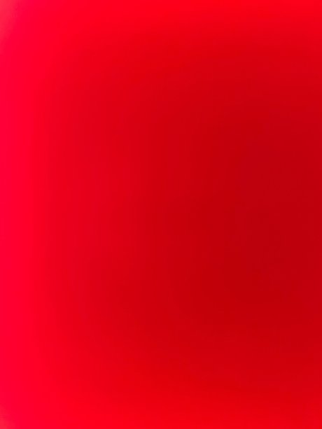 Natasha Hill exclusive pornstar pics